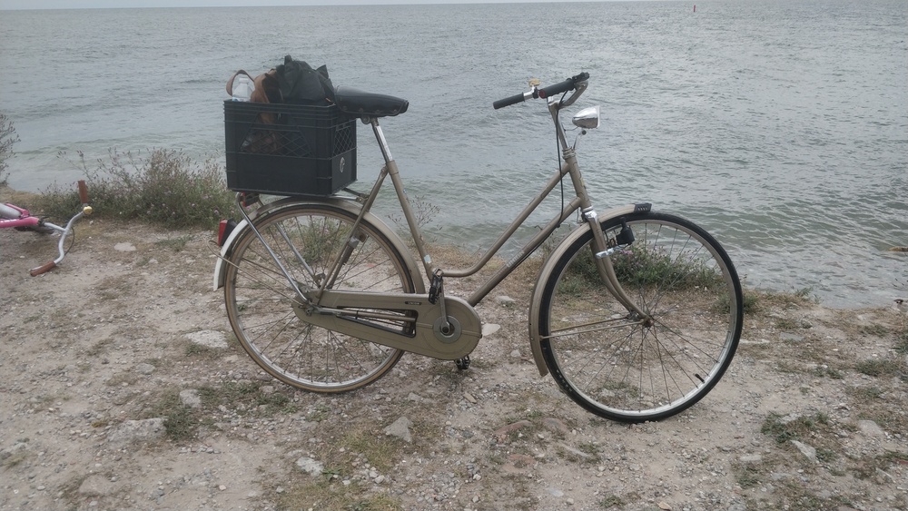 union safari bicycle